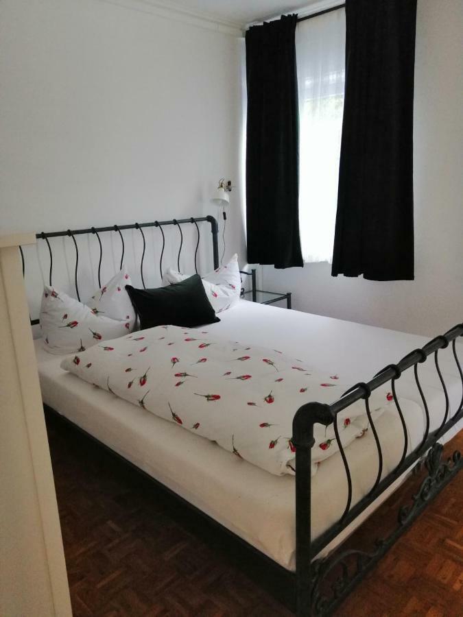Apartment Froschkönig Gladenbach Kültér fotó